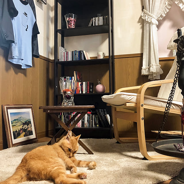 Tomさんの実例写真