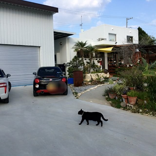 RIONさんの実例写真