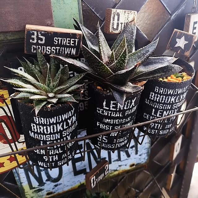 yukiさんの実例写真