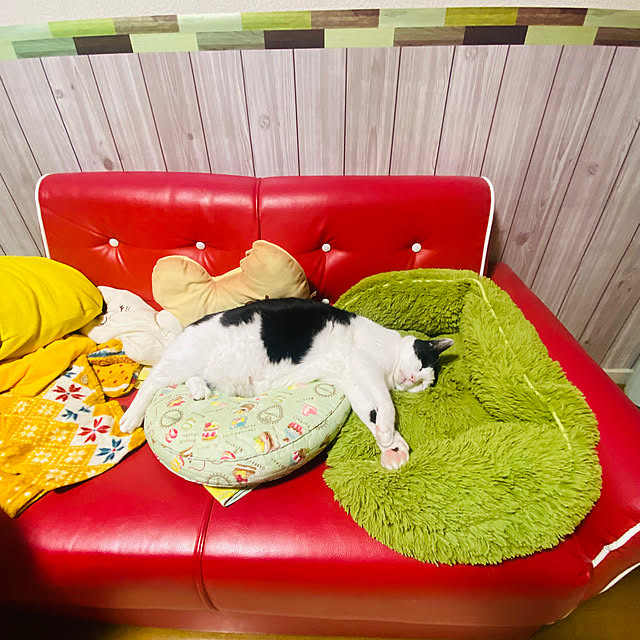 SHIHOさんの実例写真