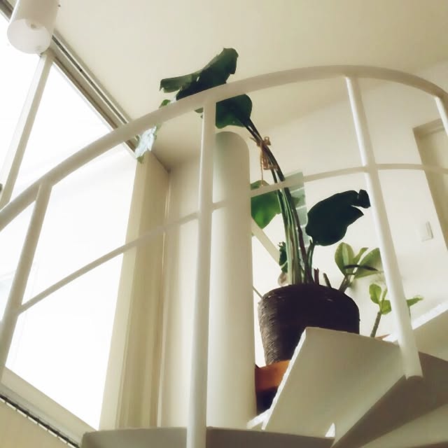 Banmamaさんの実例写真