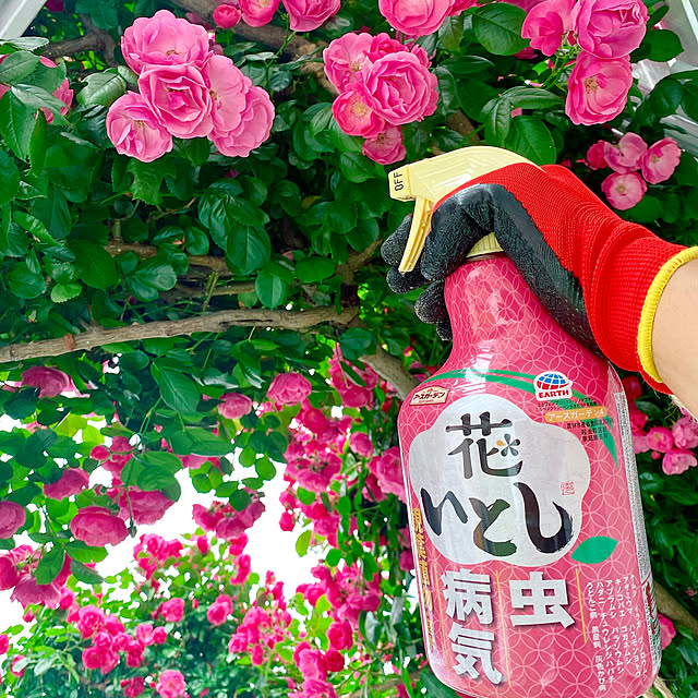 Megumiさんの実例写真