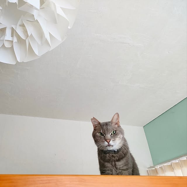 orca_cafeさんの実例写真