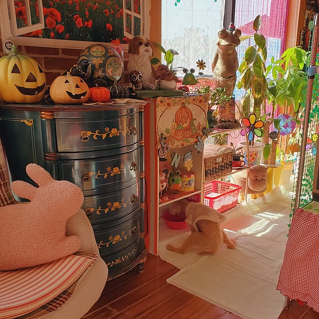 kumutanさんの実例写真
