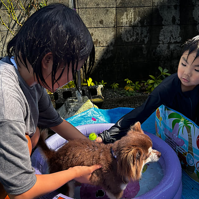 chIoeさんの部屋
