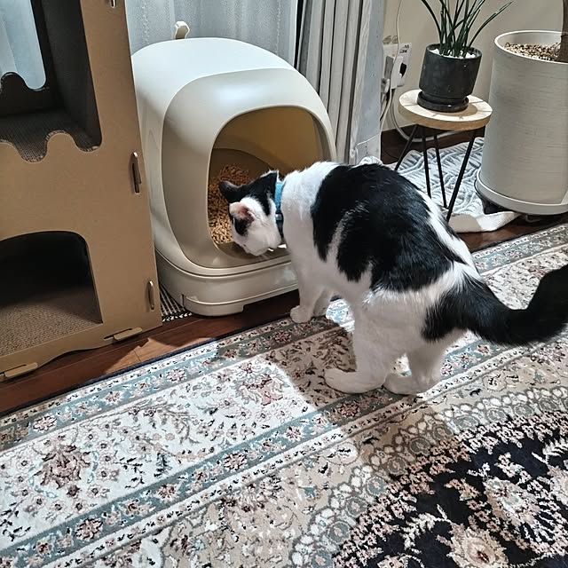 yuuさんの部屋