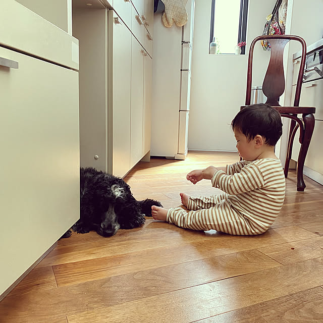 noconocoyukiさんの実例写真
