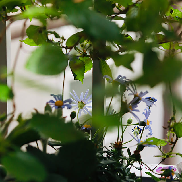 castellan1123さんの部屋