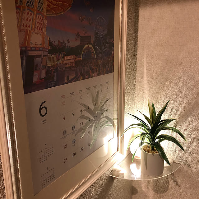 katoさんの実例写真