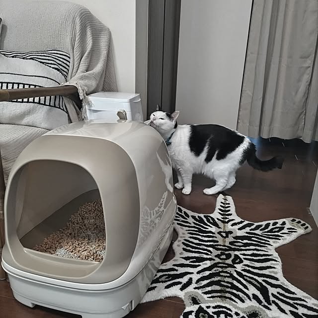 yuuさんの部屋