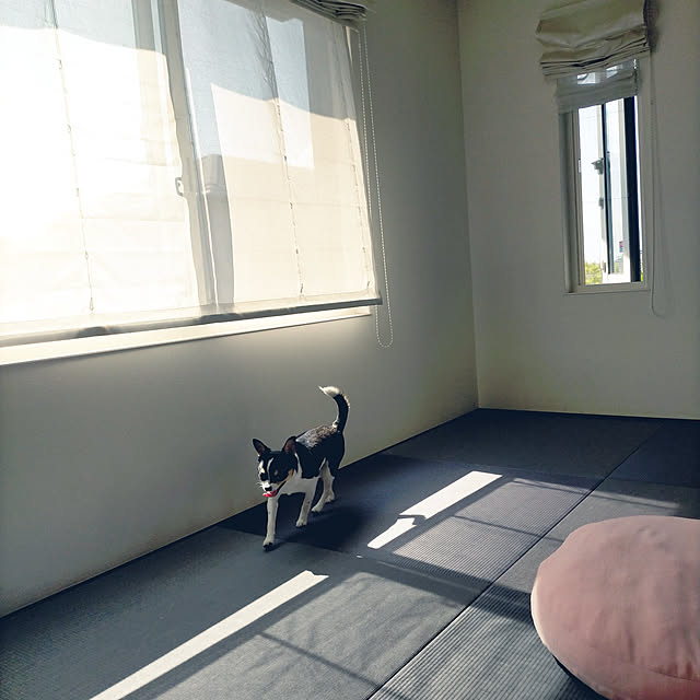 harugakitaさんの実例写真