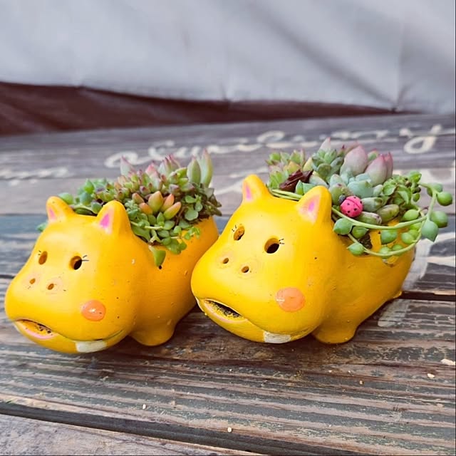 mocomocoさんの実例写真