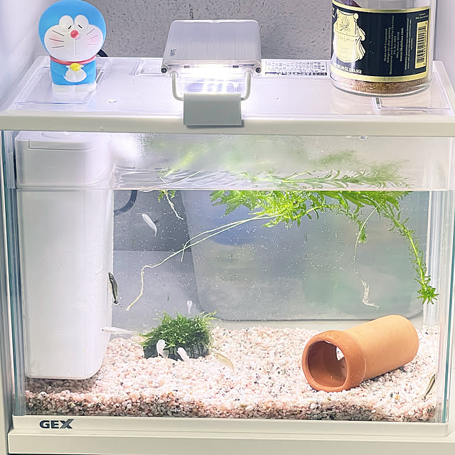 Kammiさんの実例写真