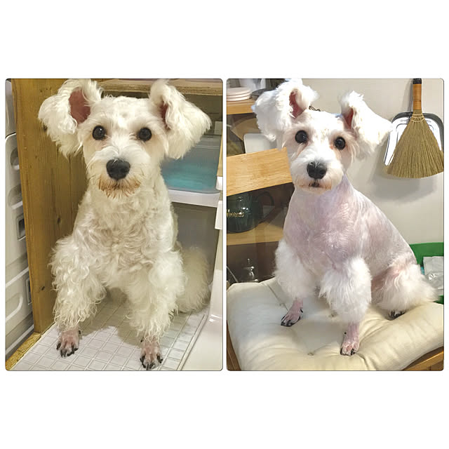 suzyさんの実例写真