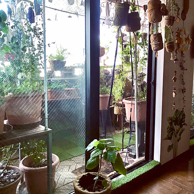 ryomamaさんの部屋