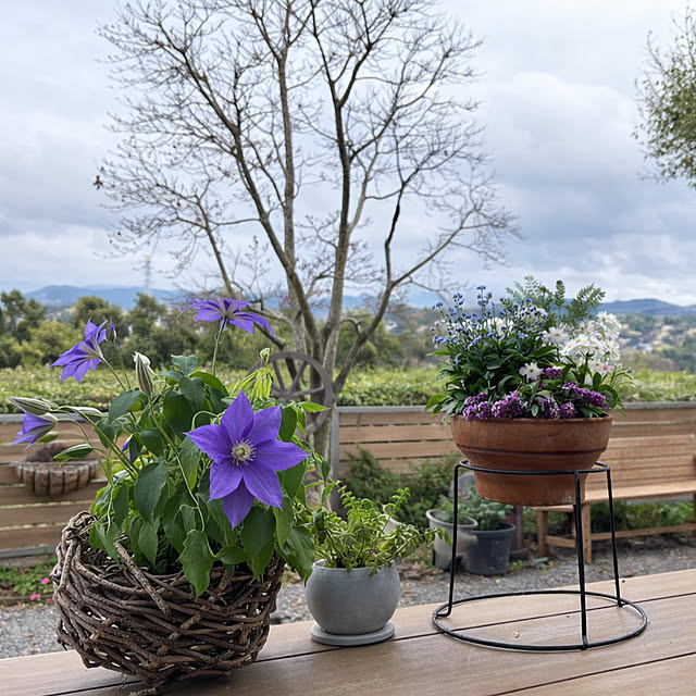 nana77さんの実例写真