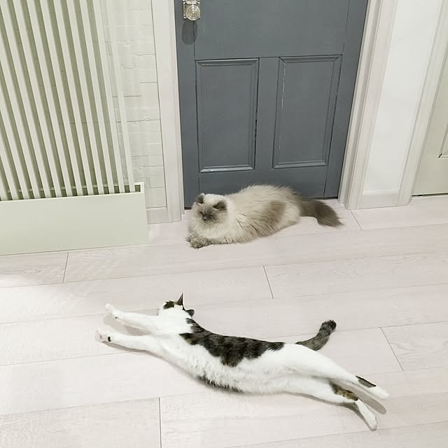 yuchiさんの実例写真