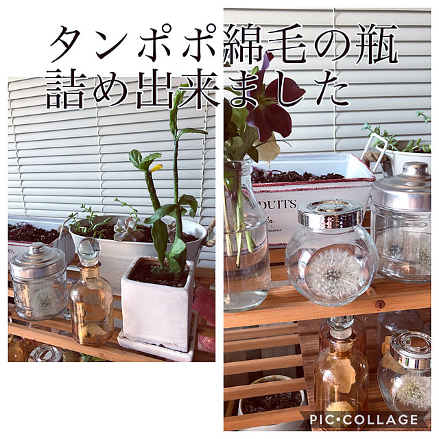 lilyさんの実例写真