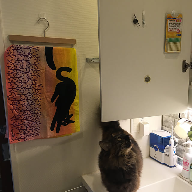 mikomaruさんの実例写真