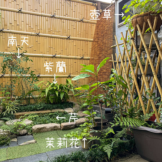faunさんの部屋