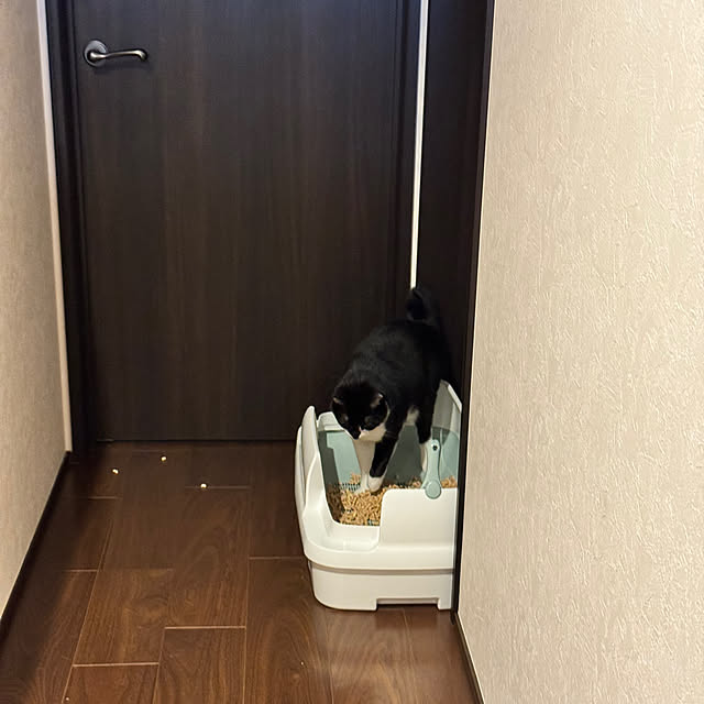 porinさんの実例写真