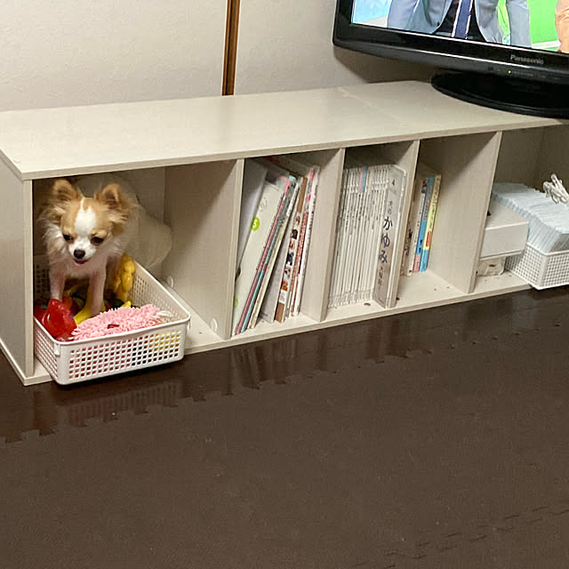 toratanさんの実例写真