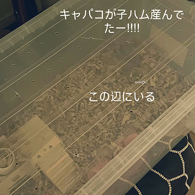 khaiさんの部屋