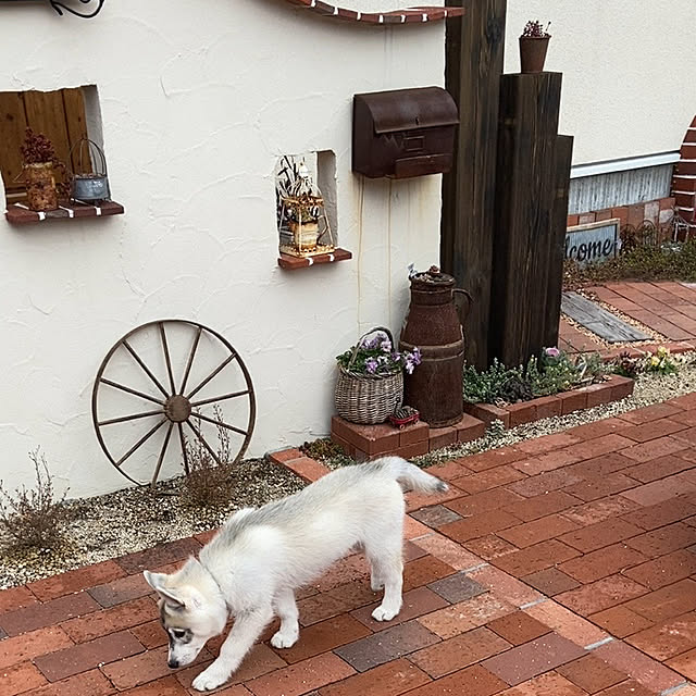 khさんの実例写真