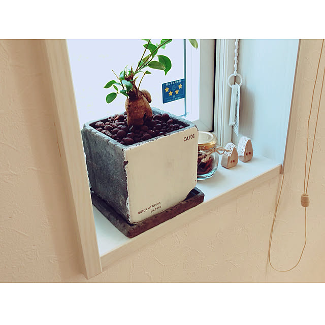 minmim.さんの実例写真