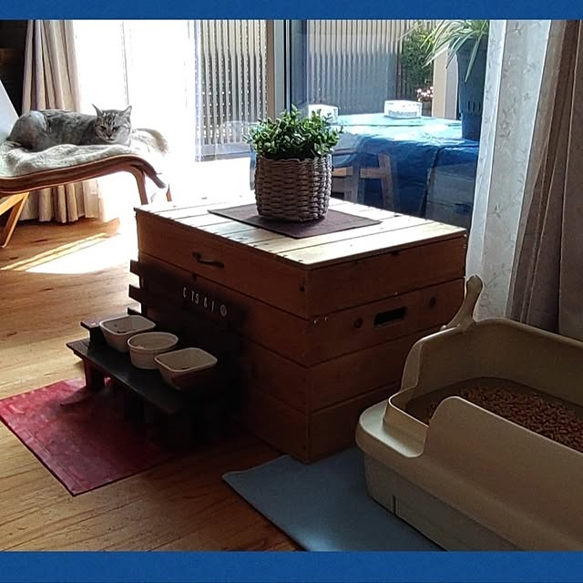 38catさんの部屋