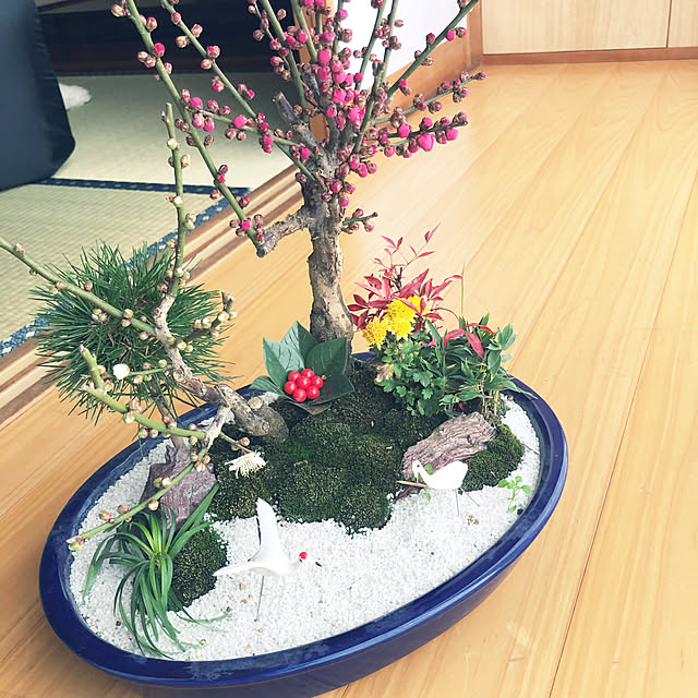 mi-hayaさんの実例写真