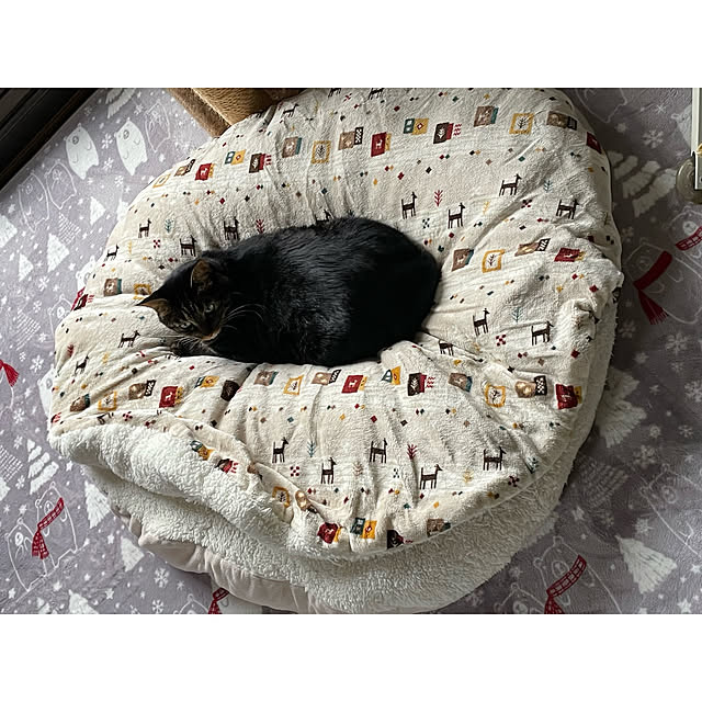 momocchiさんの実例写真