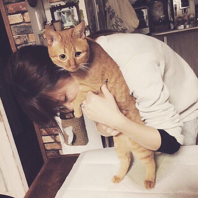 REINA612WORKSさんの実例写真