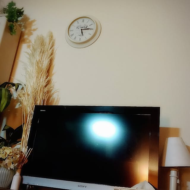 shioriさんの実例写真