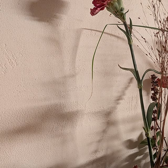 nolleyさんの部屋