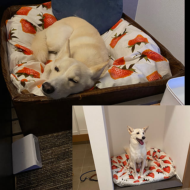 tanboさんの実例写真