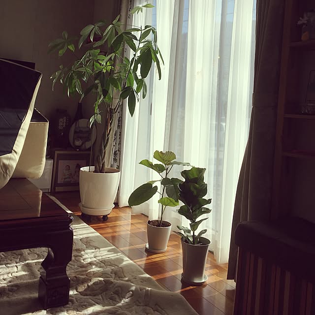 sakoさんの実例写真