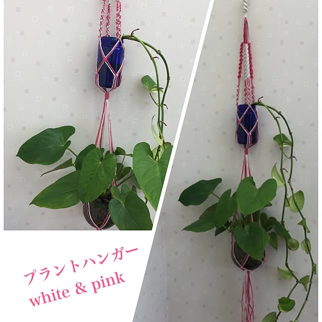 ex.Tさんの実例写真