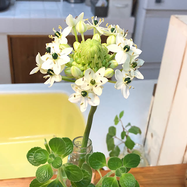 yukkoさんの部屋