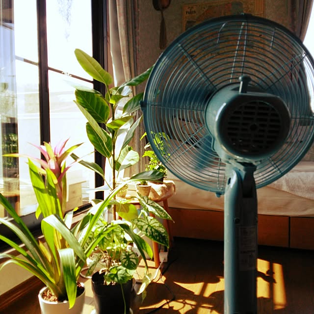 ranaさんの実例写真