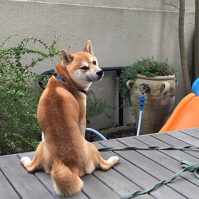 kotaさんの実例写真