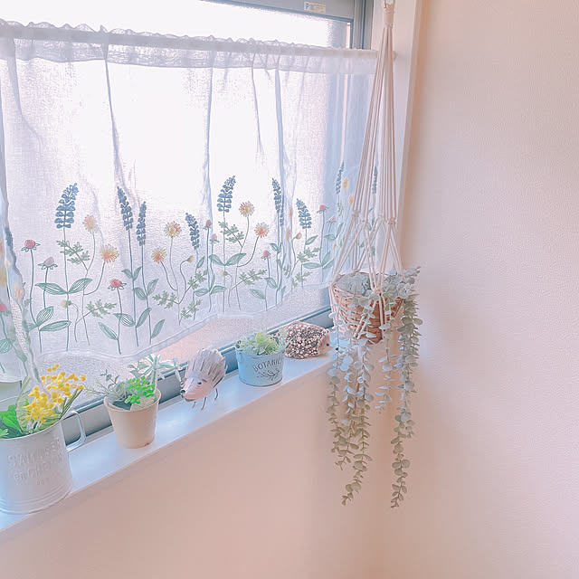 akiko-ovさんの部屋