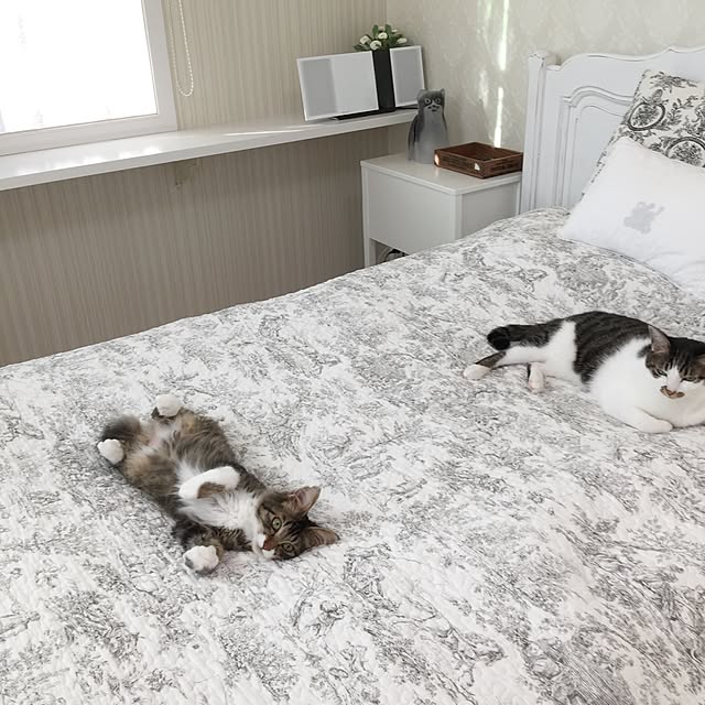 yuchiさんの実例写真