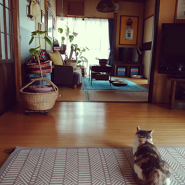 fukuさんの実例写真