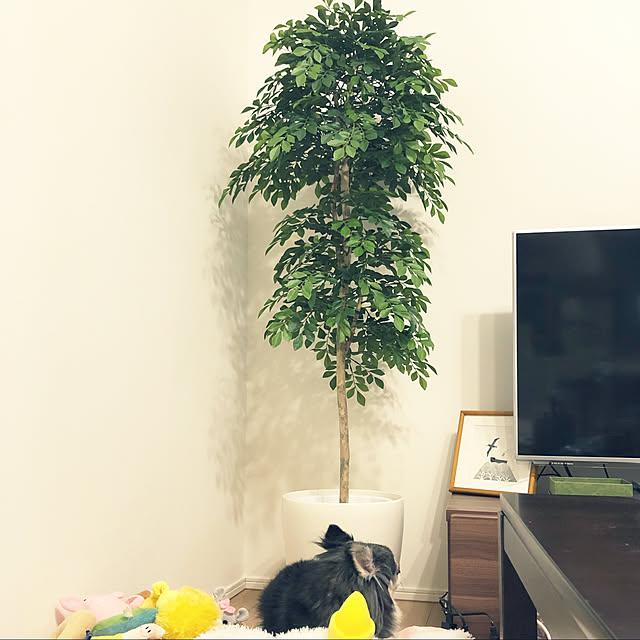 elnoさんの実例写真