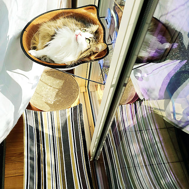 akiko6193さんの実例写真