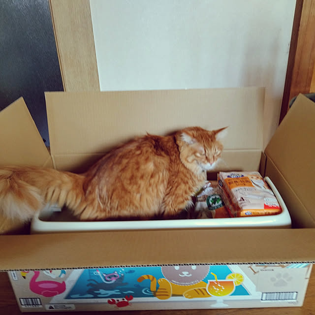 shirabenさんの実例写真
