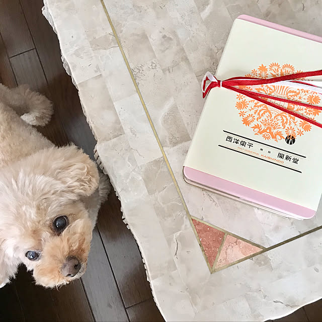 kazさんの実例写真