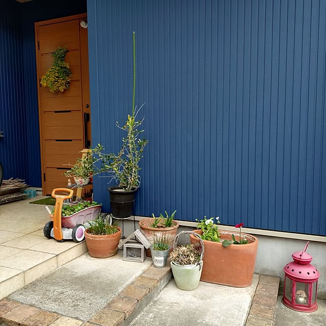 urchinさんの部屋