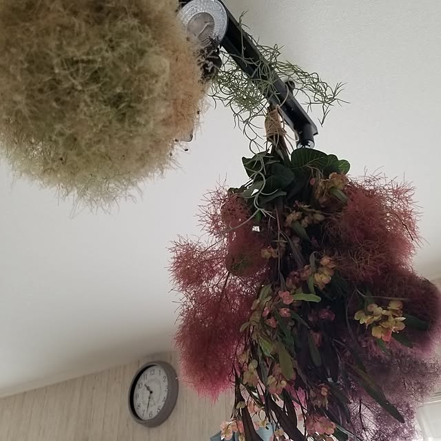 chieさんの部屋